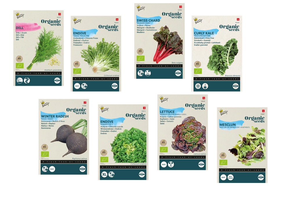 Bio スタートキット Zomerzaai Starterkit Zadenpakketje (BIO) kopen? | Plantsome
