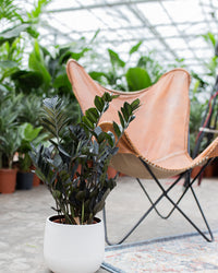 inspiratie-1