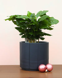 inspiratie-5