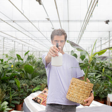 De magie van plantenbuurtjes