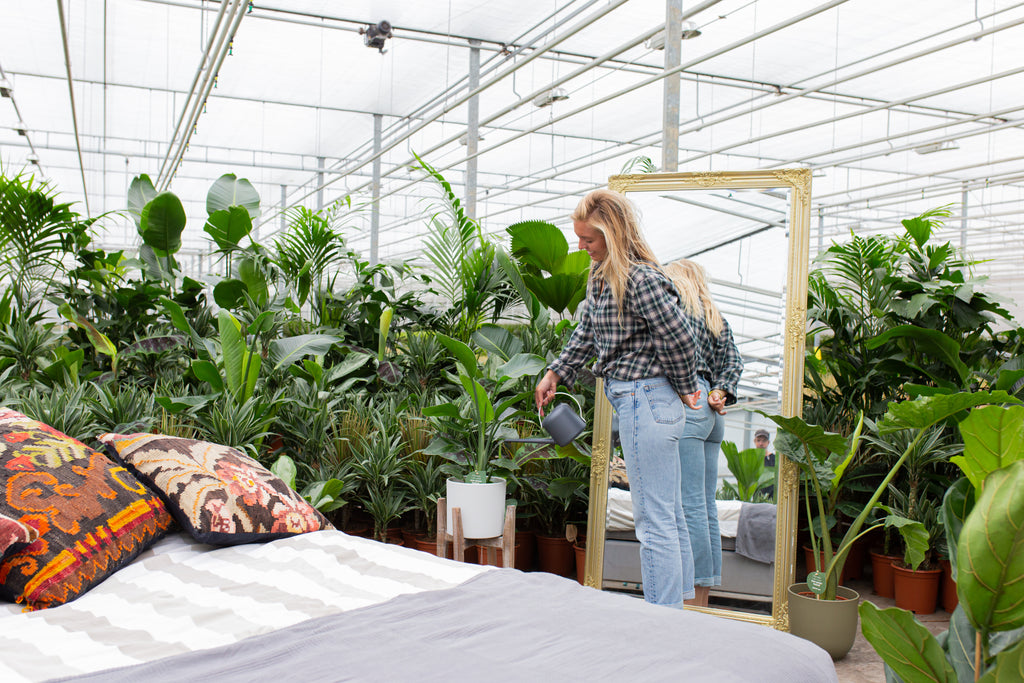 Plantverzorging na je vakantie