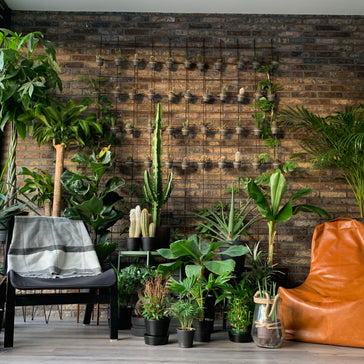''We hebben een bewapeningsnet gebruikt om 44 plantjes in op te hangen!''