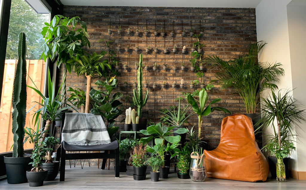 ''We hebben een bewapeningsnet gebruikt om 44 plantjes in op te hangen!''