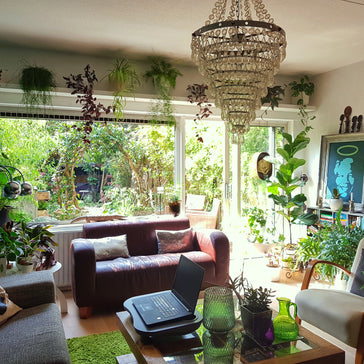 ''In het begin is je woonkamer wat groen betreft nog een blank canvas.''