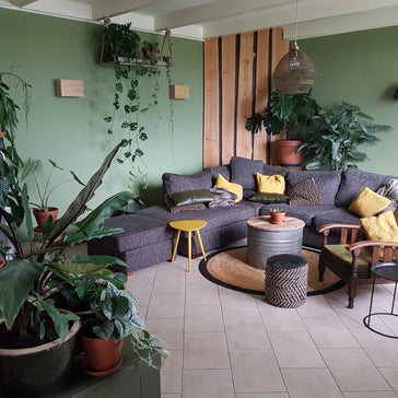 ''‘s Avonds op de bank zitten en dan zien hoe mooi alle plantjes erbij staan.