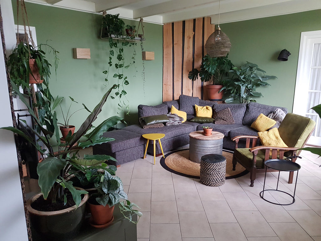 ''‘s Avonds op de bank zitten en dan zien hoe mooi alle plantjes erbij staan.
