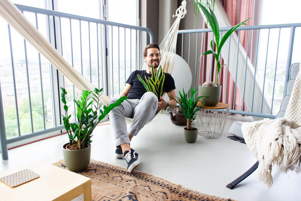 Sansevieria (Vrouwentong) stekken? Zó doe je dat!