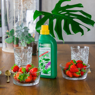 Alles over plantenvoeding