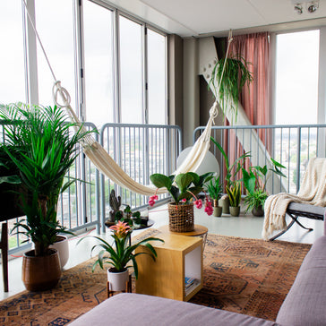 De mooiste grote kamerplanten om jouw Urban Jungle mee te starten!