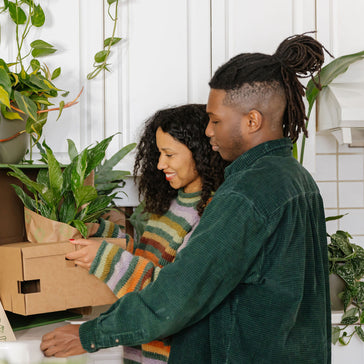 5 voordelen van planten