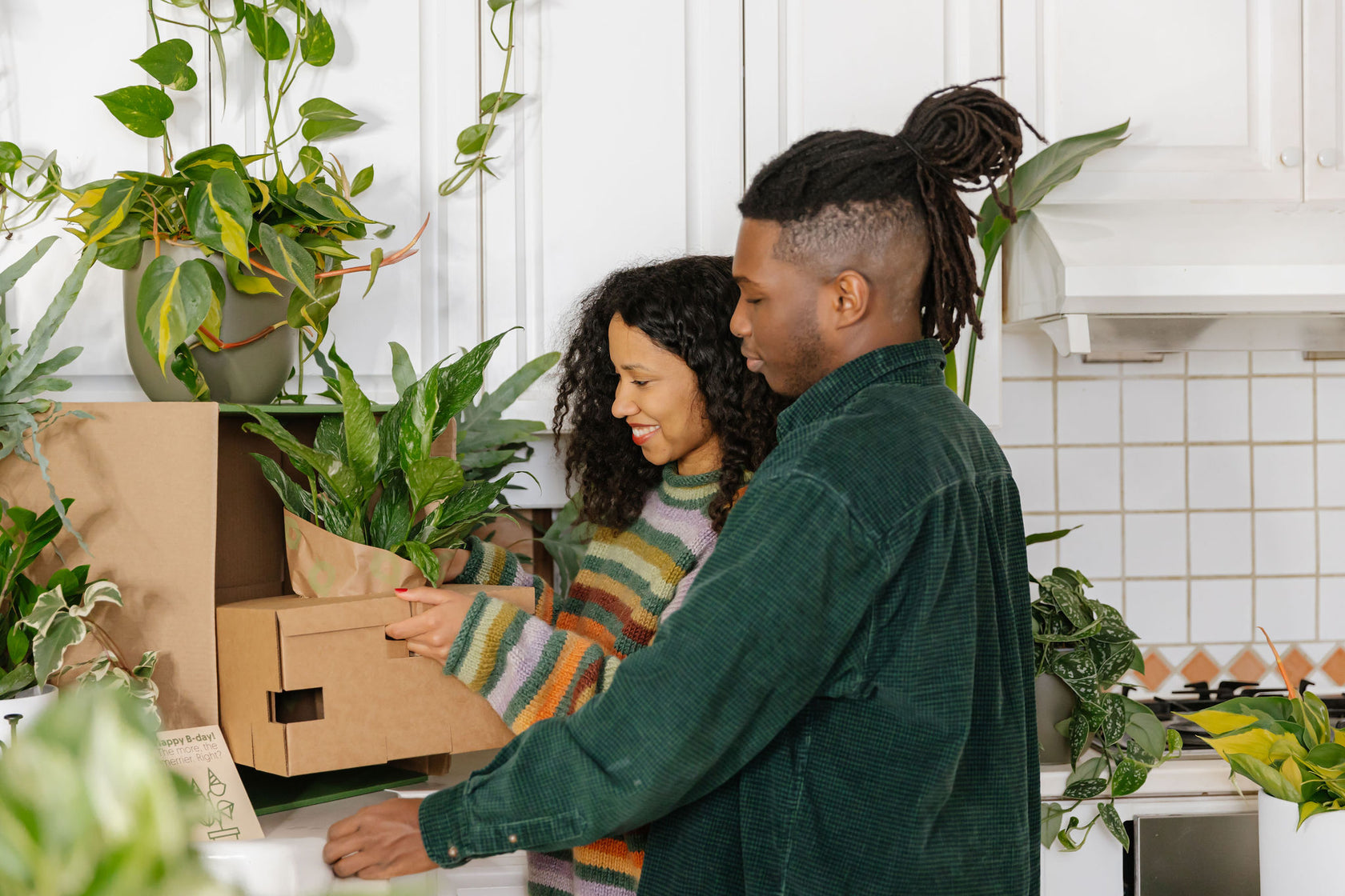 5 voordelen van planten