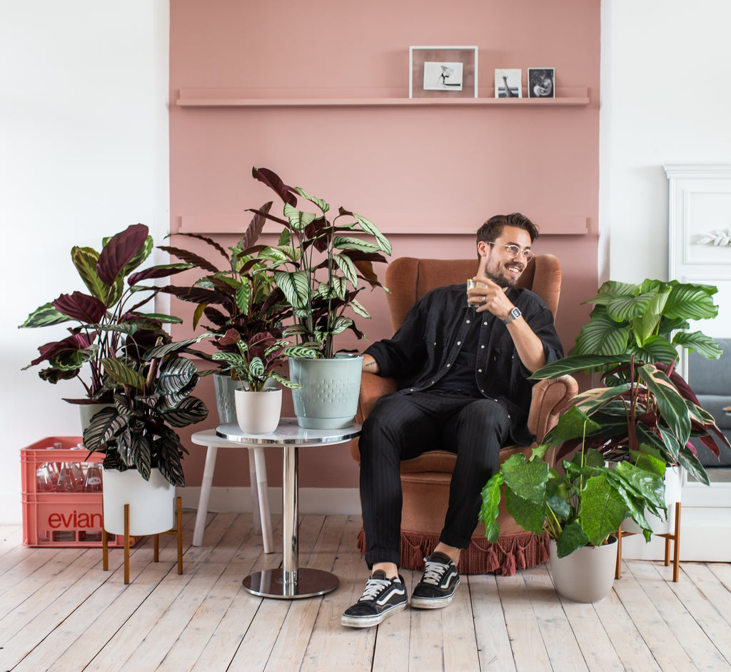 Een plant in elke kamer van je huis!