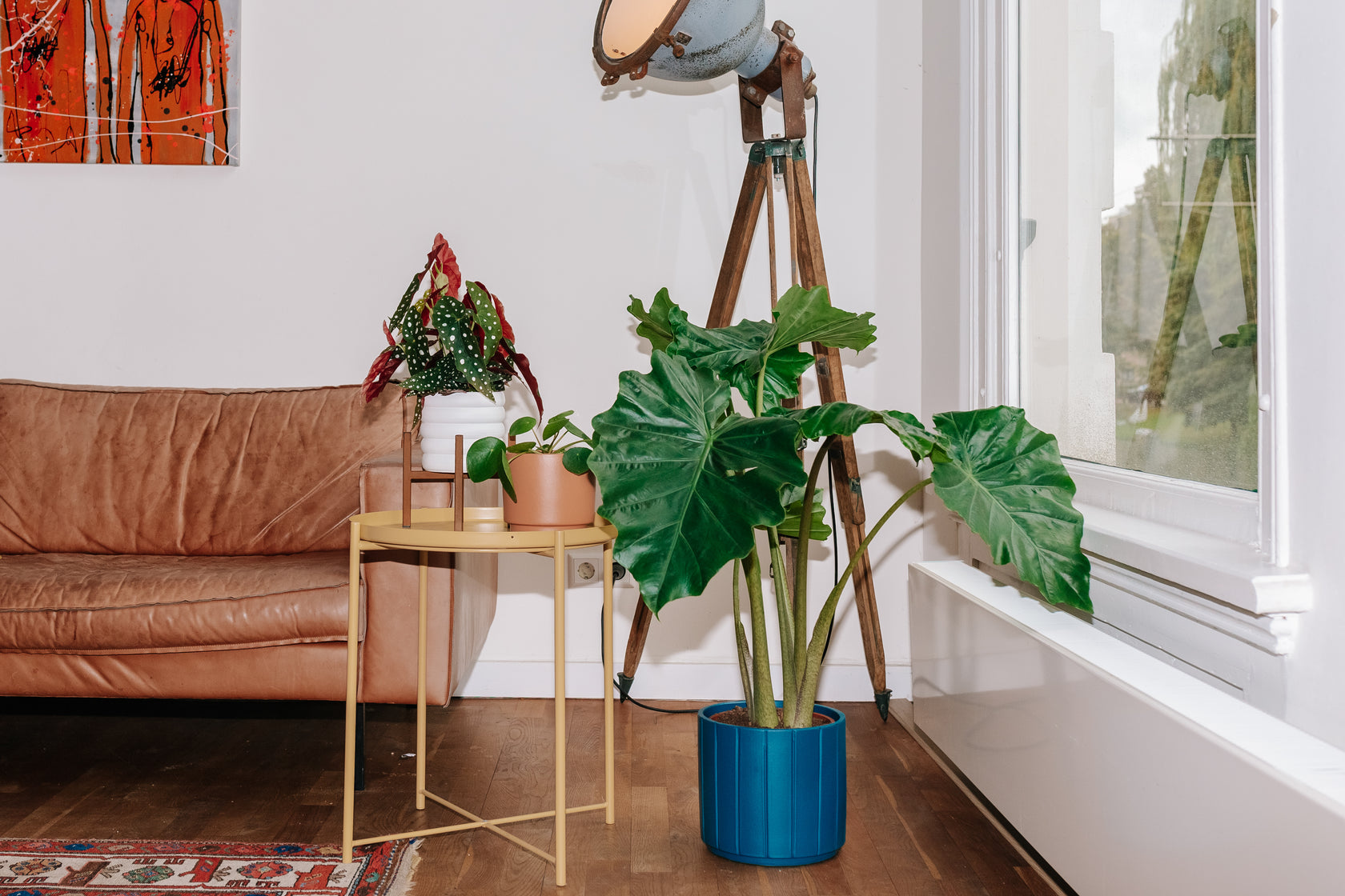 Slappe en hangende kamerplanten