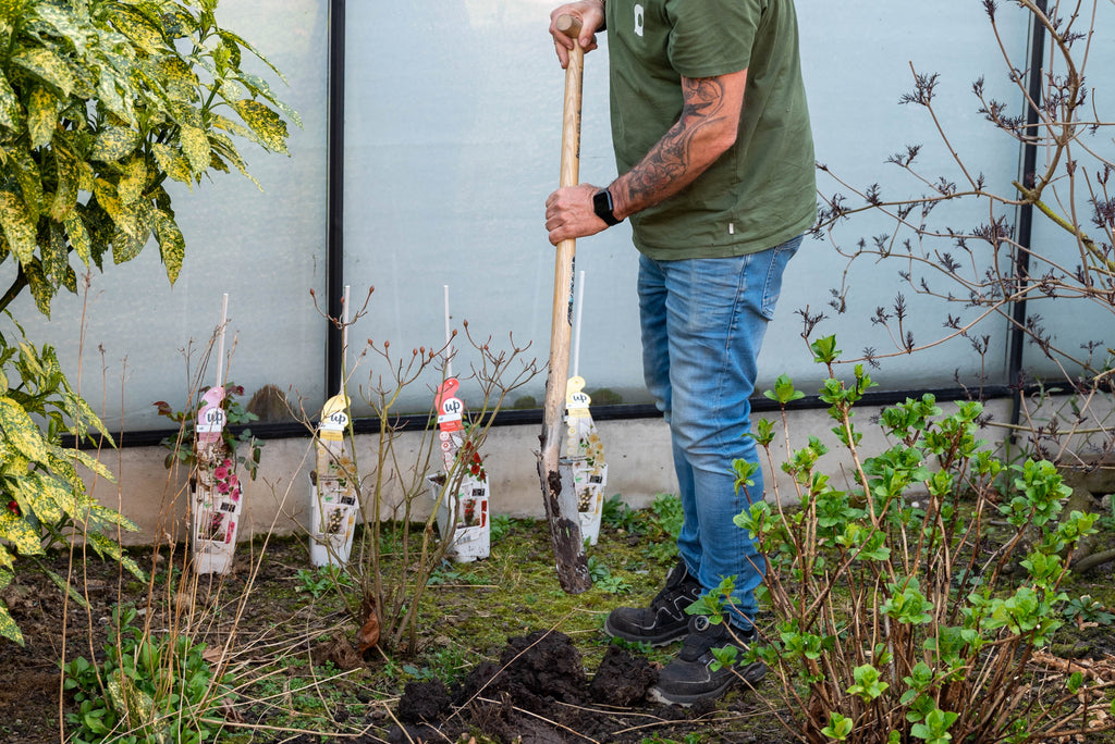 Bereid je tuin voor op buitenplanten!