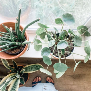 Instagram inspiratie: Deze groene influencers wil je volgen!