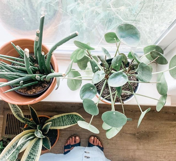 Instagram inspiratie: Deze groene influencers wil je volgen!
