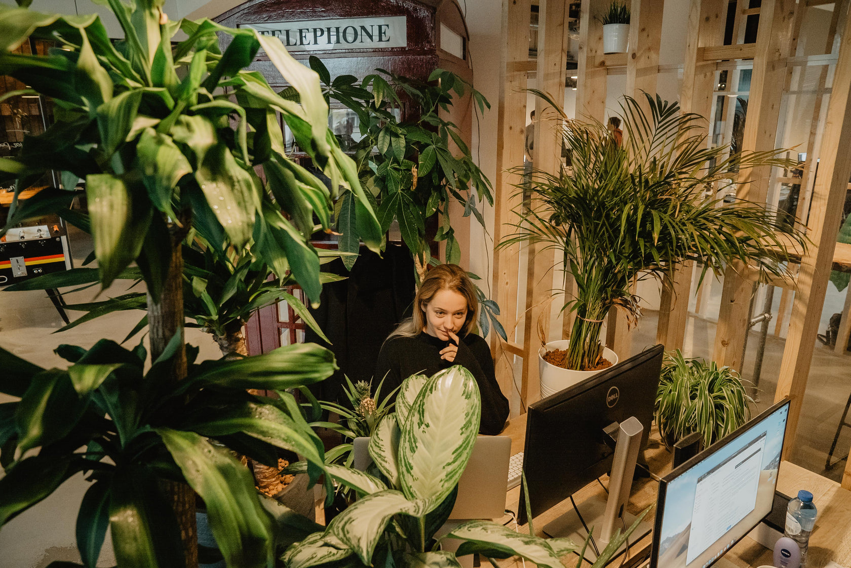 Waarom planten op kantoor nemen?