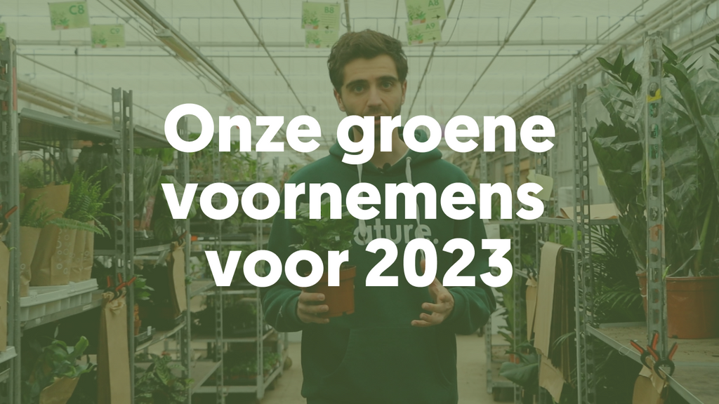 Onze groene voornemens voor 2023