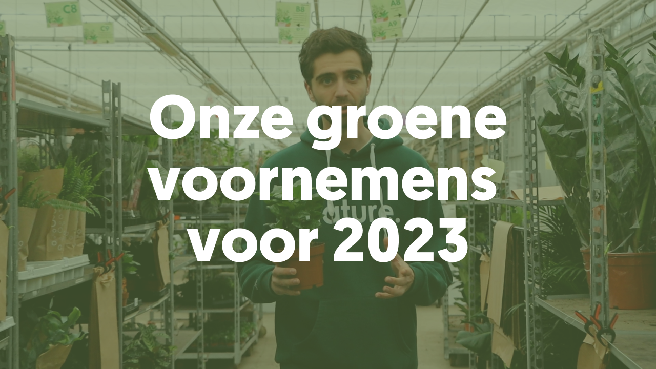 Onze groene voornemens voor 2023