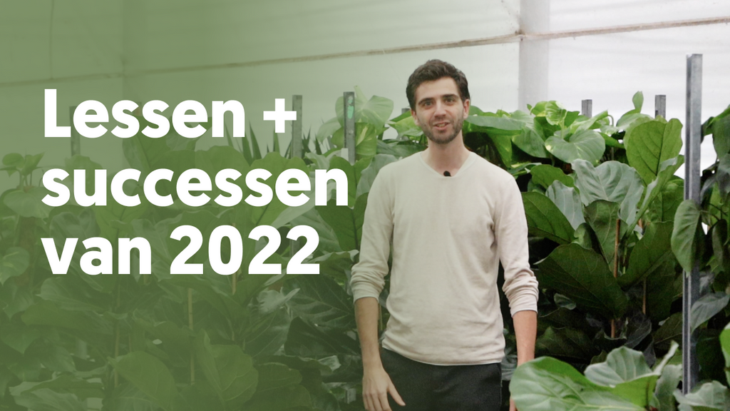 De lessen en successen van 2022