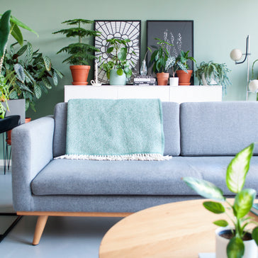 ''Het is onmogelijk om een winkel te verlaten zonder een plant te kopen.'' - Brechje en Maykel