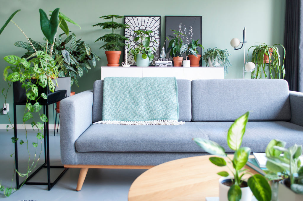 ''Het is onmogelijk om een winkel te verlaten zonder een plant te kopen.'' - Brechje en Maykel
