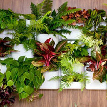 Plantjes in huisjes.