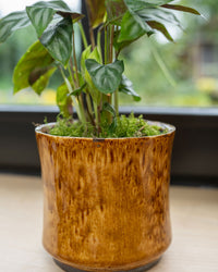 inspiratie-1