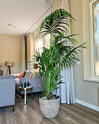inspiratie-3