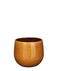 Pablo Smooth (29cm) inspiratie 4