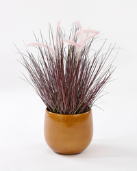 Pablo Smooth (25cm) inspiratie 4