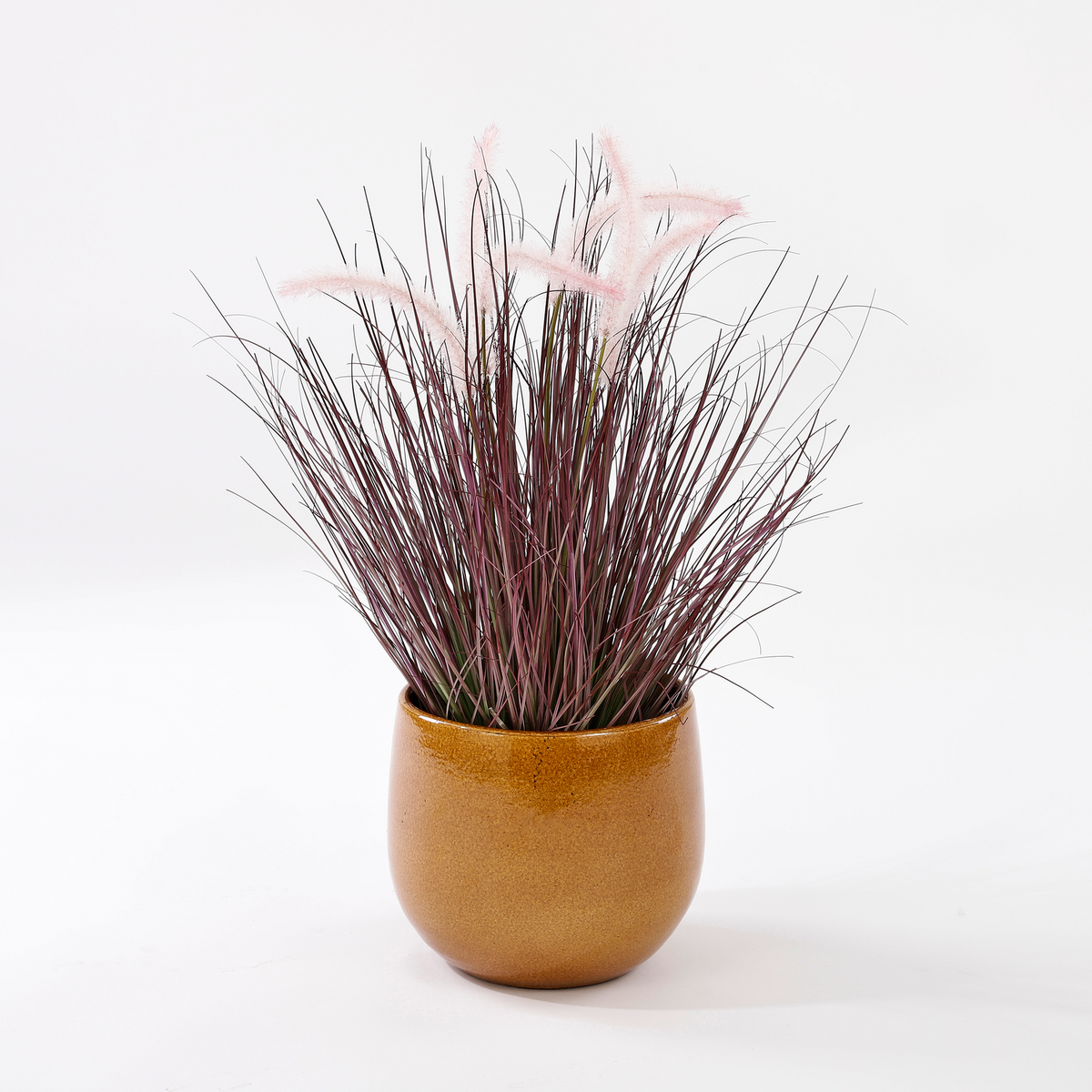 Pablo Smooth (25cm) inspiratie 4