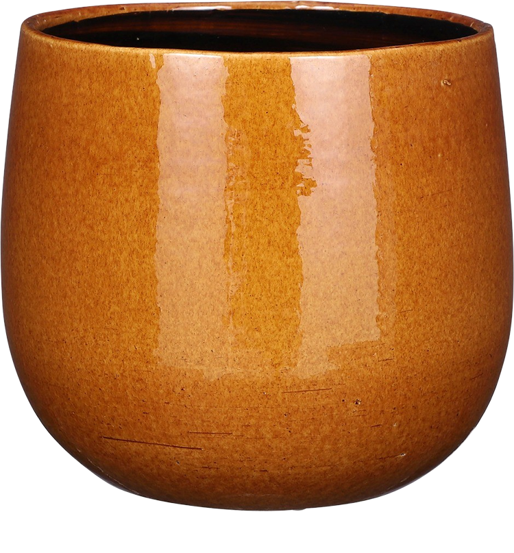 Pablo Smooth (29cm) Oker