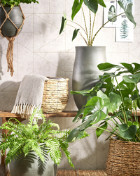 Avalon mand (26cm) inspiratie 1