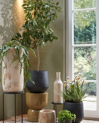 Evora (16cm) inspiratie 1