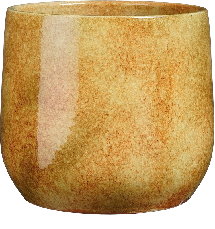 Hugo (22cm) Oker