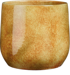Hugo (28cm) Oker