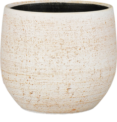 Marcus (21cm) Beige