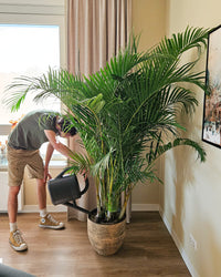inspiratie-3