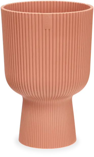 Vibes Coupe (30cm)