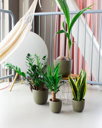 inspiratie-6