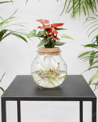 Anthurium op water inspiratie 1