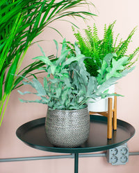 inspiratie-3