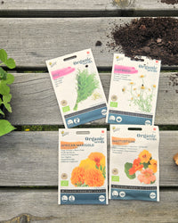 inspiratie-1