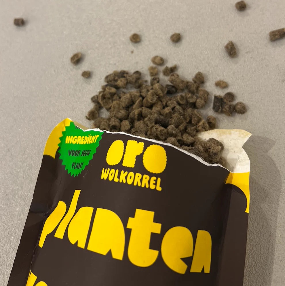 inspiratie
