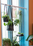 Roede hangplanten (aanpasbaar)