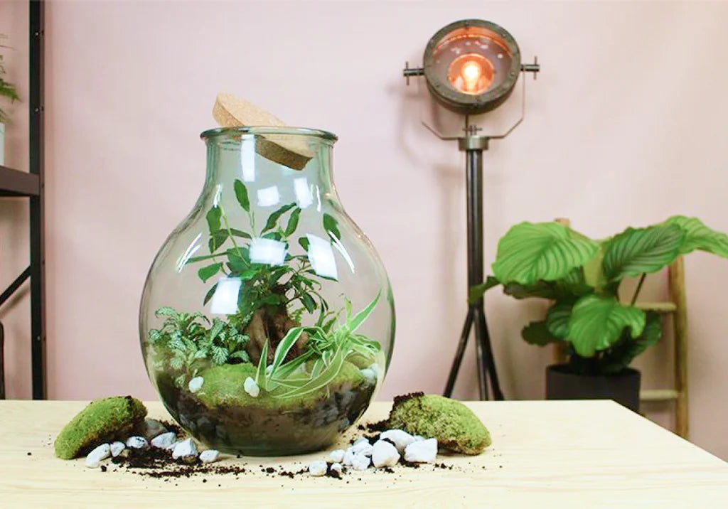 Ons favoriete cadeau: het DIY-terrarium
