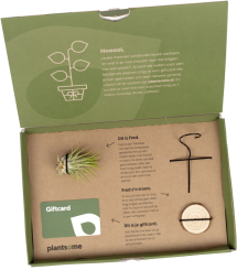 De giftbox