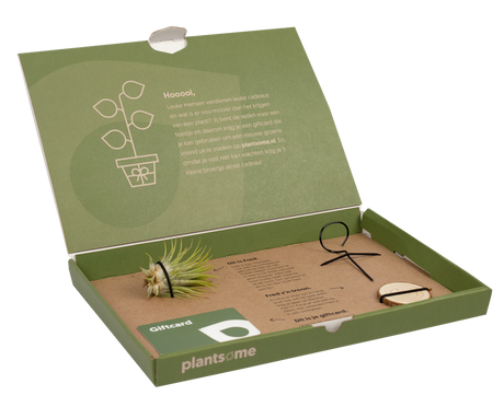 shopify-image