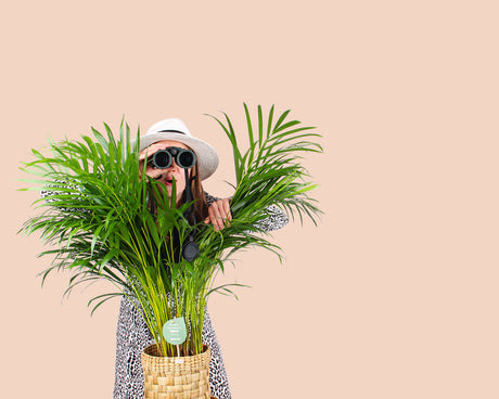 shopify-image